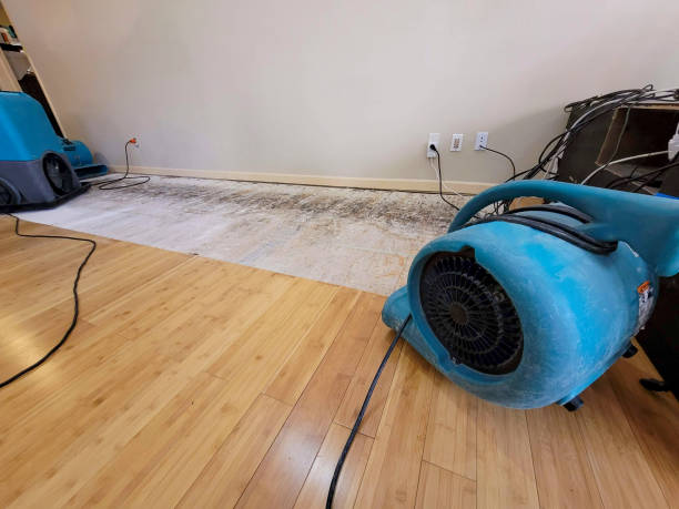 Reliable Basement Flood Cleanup contractor in Kirby, OH by Hirex Water Damage