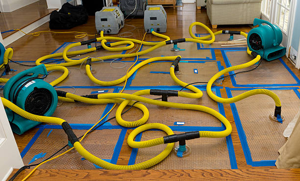 Professional Basement Flood Cleanup technician working in Kirby, OH